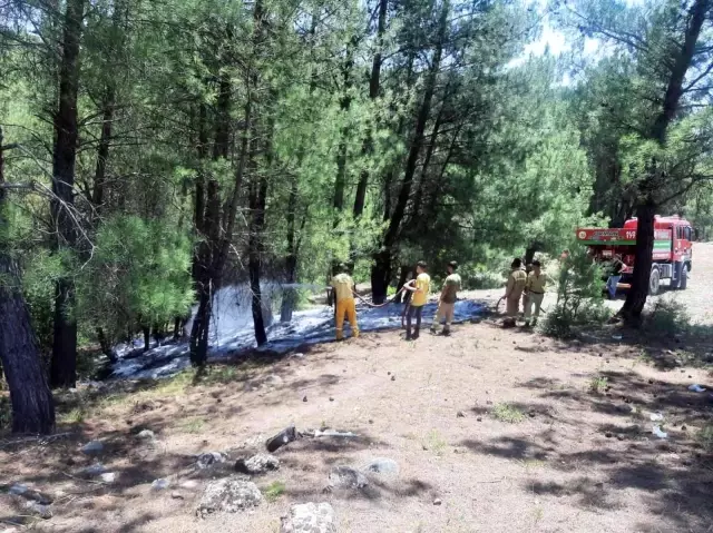 Ormanı yaktıktan sonra kaçmaya çalışan şahıs, jandarma tarafından yakalandı