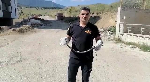 Bahçedeki mazgalın içindeki yılanı gören site sakinleri, itfaiyeden yardım istedi Bahçedeki mazgalın içindeki yılanı gören site sakinleri, itfaiyeden yardım istedi