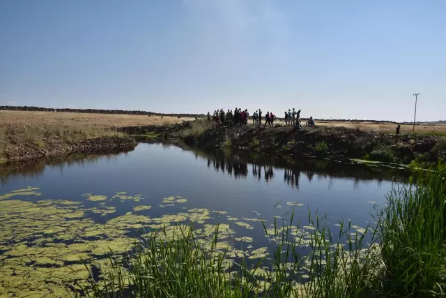 Şanlıurfa'da balık tutmak için gölete giren vatandaş boğularak can verdi