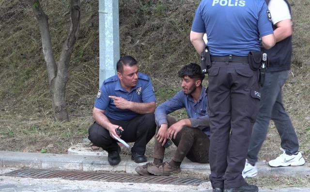 Üzerine ağaç devrilen orman işçisi öldü Üzerine ağaç devrilen orman işçisi öldü