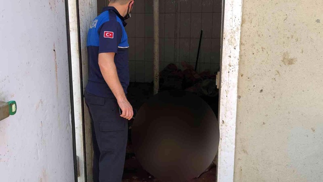 Et işleme tesisine şok baskın...Görüntüler 'pes' dedirtti...