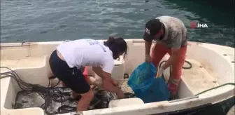 Milas'ta denizden çıkanlar şaşırttı