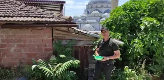 Anneleri öldürüldü, yavrular da ölmesin diye başlarında nöbet tutuyor
