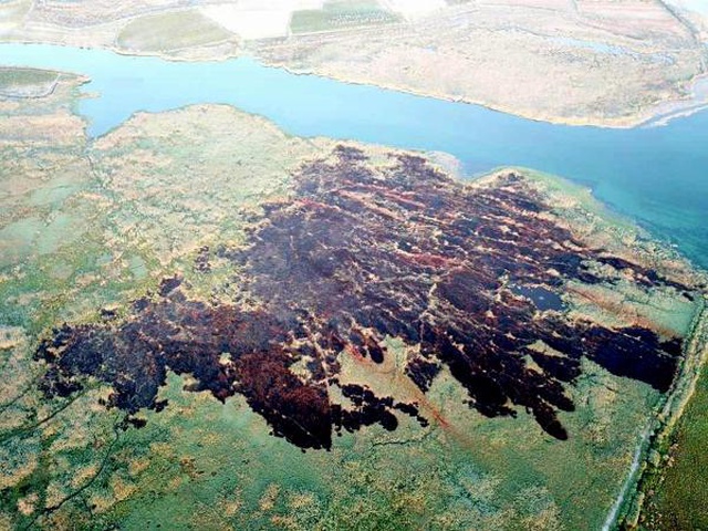 Muğla'da yangınla ilgili gözaltına alınan şahıslardan birinin sazlıkta özçekim yaptığı ortaya çıktı Muğla'da yangınla ilgili gözaltına alınan şahıslardan birinin sazlıkta özçekim yaptığı ortaya çıktı