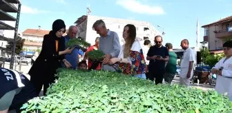 Yalova'da ata tohumları toprakla buluşuyor