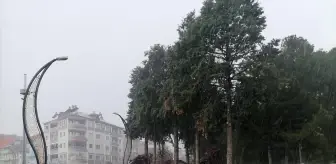 Sağanak etkili oldu