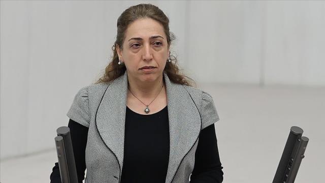 Polise yumruk atan DBP'li Aydeniz'in suç dosyası kabarık çıktı