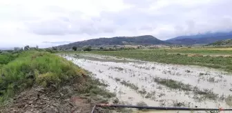 Sağanak yağış ve dolu tarım arazilerini vurdu