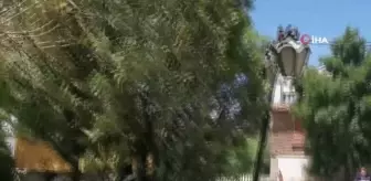 Parktaki yılanı elleriyle yakalayıp çocuklara sevdirdi