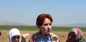 Akşener, Manisa'da esnafı ziyaret edip alışveriş yaptı