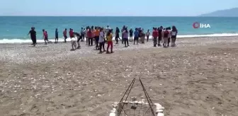 Akdeniz'deki ekosistemin kalbi: Caretta Carettalar