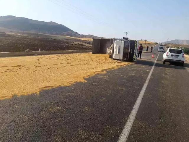 Mardin'de kamyon devrildi, tonlarca buğday yola döküldü