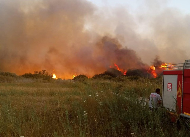 Antalya'da zeytinlik ve sazlık alanda yangın çıktı! Çok sayıda ekip bölgeye sevk edildi