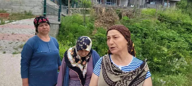 Bir mahalleyi ayı korkusu sardı: 'Evlerimizden çıkamıyoruz'