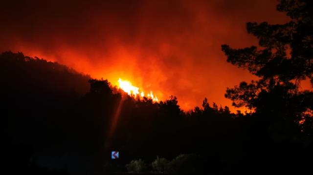 Marmaris'te orman yangını! Rüzgarın etkisiyle alevler kısa sürede yayıldı Marmaris'te orman yangını! Rüzgarın etkisiyle alevler kısa sürede yayıldı