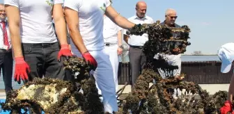 İzmir Körfezi'nden çıkan atıklar şaşırttı: Bisiklet, kamp sandalyeleri ve dahası