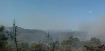 (DRONE) Marmaris'teki orman yangınına havadan ve karadan müdahale ediliyor (7)