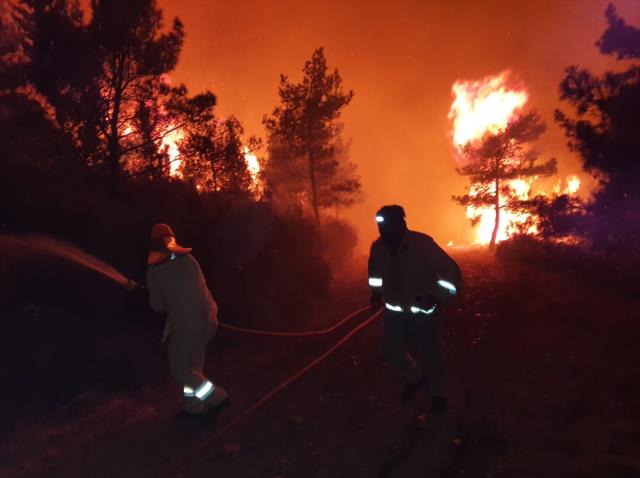 Marmaris'teki orman yangınının çıkış sebebiyle ilgili yetkililer, sabotaj ihtimali üzerinde duruyor