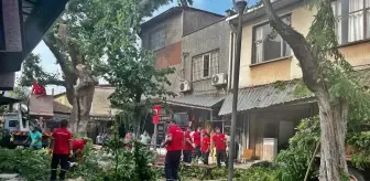 Fırtına etkili oldu, ağaç devrildi, çatılar uçtu