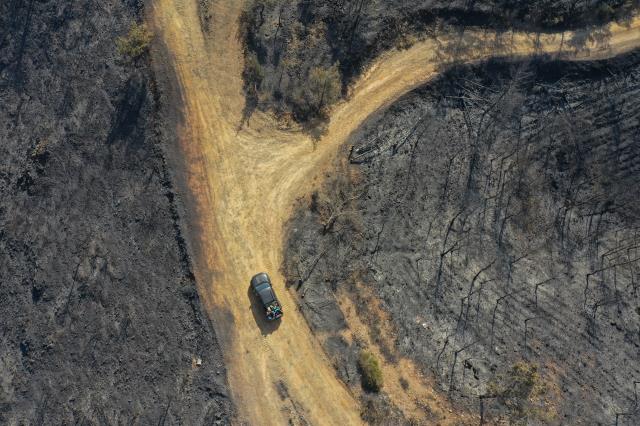 Marmaris'te alevlerle mücadele devam ediyor! Bakan Kirişçi son durumu paylaştı: Yaklaşık 3 bin hektarlık alan yangından etkilendi