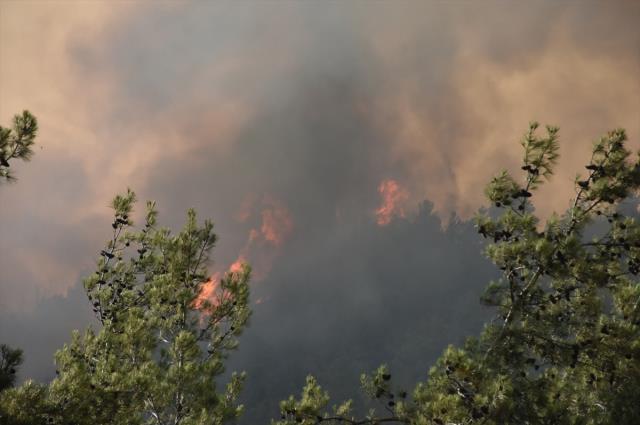 Marmaris'te alevlerle mücadele devam ediyor! Bakan Kirişçi son durumu paylaştı: Yaklaşık 3 bin hektarlık alan yangından etkilendi