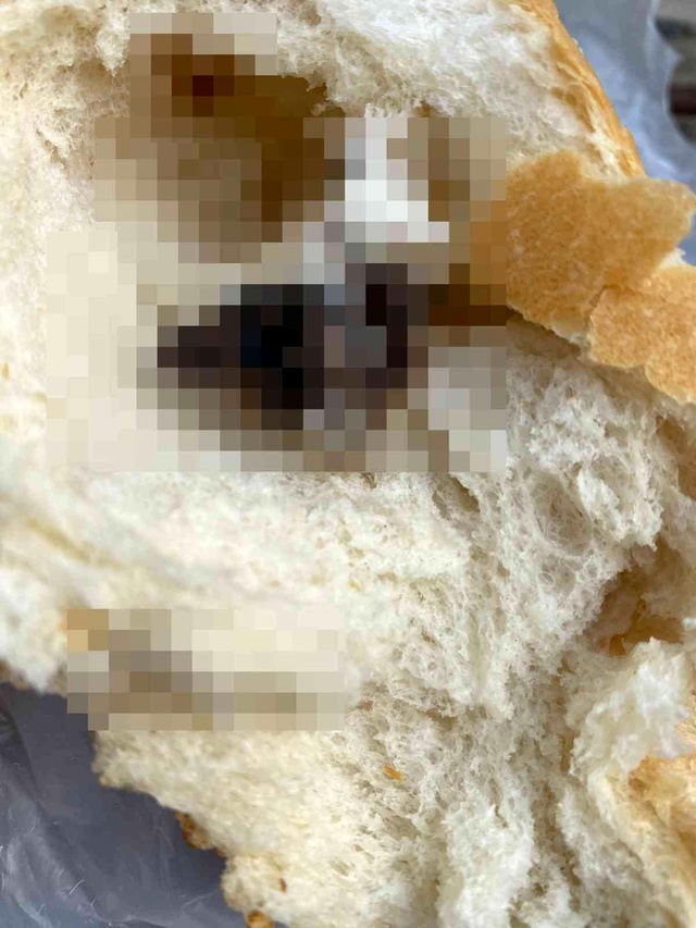 Ailesiyle gittiği piknik zehir oldu! Böldüğü ekmeğin içinden ölü fare çıktı