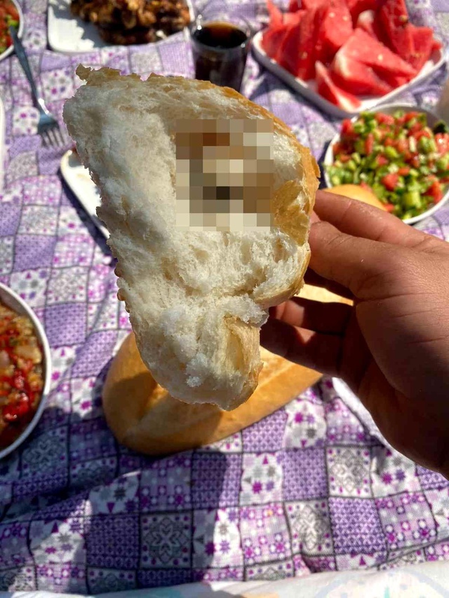 Ailesiyle gittiği piknik zehir oldu! Böldüğü ekmeğin içinden ölü fare çıktı