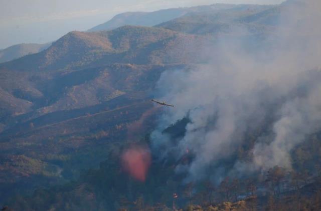 Türkiye'yi ağlatan kareler! Havadan çekilen görüntüler Marmaris yangının büyüklüğünü gözler önüne serdi Türkiye'yi ağlatan kareler! Havadan çekilen görüntüler Marmaris yangının büyüklüğünü gözler önüne serdi