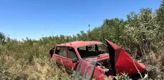 Trafik işareti levhasına çarpan otomobil şarampole devrildi