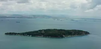 Son dakika gündem: İstanbul ormanlarında 'dumansız yangın'la mücadele