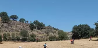 Kayıp kadının ormanda cesedi bulundu