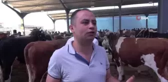 Kurban pazarında arefe yoğunluğu