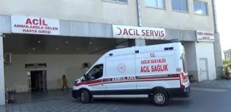 Malatya'da acemi kasaplar hastanelik oldu