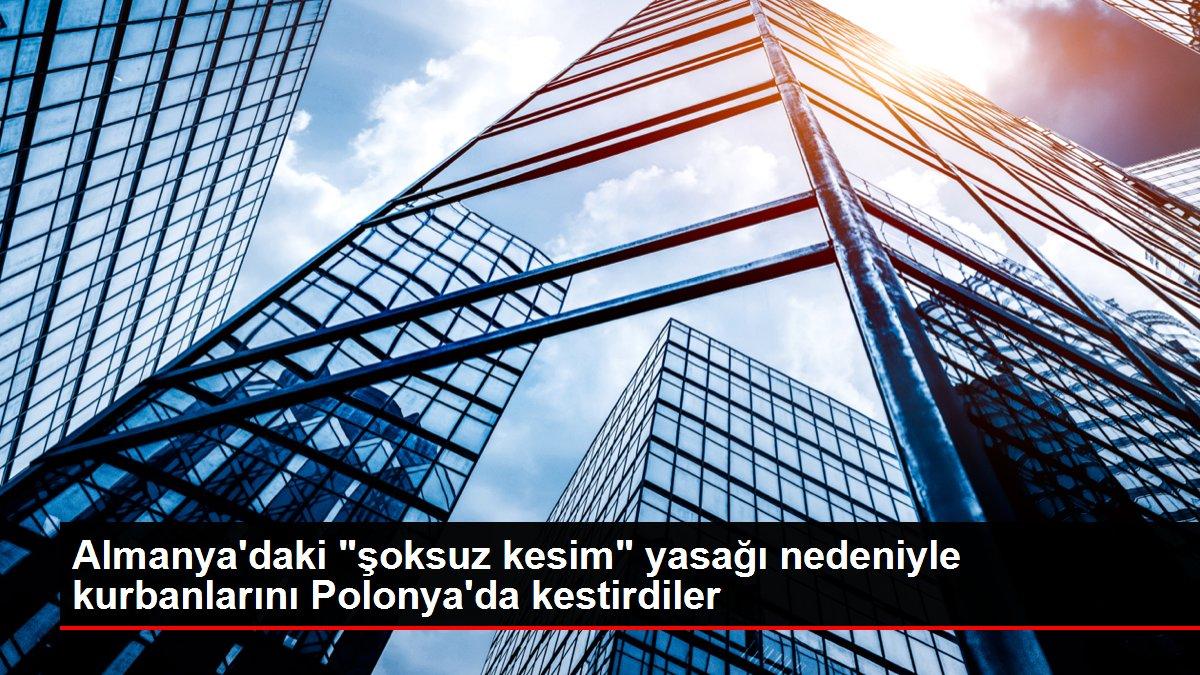 Almanya'daki 'şoksuz kesim' yasağı nedeniyle kurbanlarını Polonya'da kestirdiler