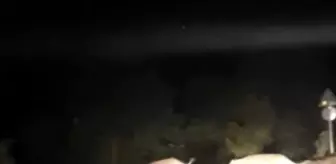 Yiyecek bulamayan domuz sürüsü köye indi