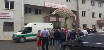 Trabzon'da kestikleri ağacın altında kalan baba ve oğlu hayatını kaybetti