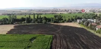 40 dönümlük arpa tarlası dakikalar içerisinde küle döndü