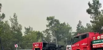 Son dakika haber... Datça'da orman yangını (2)