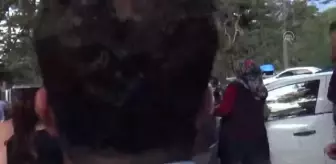 Güreşlerde bir sporcu ile rakibinin yakınları arasında kavga çıktı
