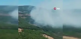 Hatay'da orman yangını çıktı, havadan ve karadan müdahale ediliyor