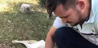 Başı bidona sıkışan köpek kurtarıldı