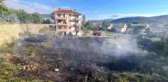 Kuru otların tutuşması ile çıkan yangın korkuttu