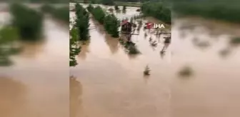 Son dakika haberi! Ordu'da aşırı yağışlar sel ve taşkınlara sebep oldu