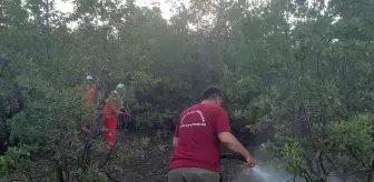 Son dakika... Bingöl'de çıkan orman yangını söndürüldü