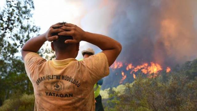 Son Dakika! Son dönemde artan yangınlar nedeniyle ormanlık alanlara girişler 31 Ağustos'a kadar yasaklandı