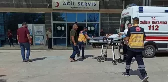 Şanlıurfa'da pamuk tarlasına devrilen otomobildeki 5 kişi yaralandı