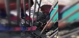 İnşaat demirlerinin içine giren kedinin üzerine beton döküldü