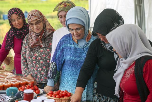 Ankara'da renkli görüntüler! Emine Erdoğan tarlaya girip topladığı domateslerden menemen yaptı