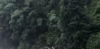 Rize'de kamyonetin devrildiği kazada 2 kişi yaralandı