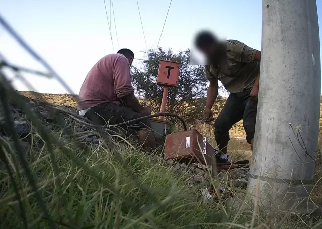 Foto kapanlara yaban hayatı değil onlarca hırsız yakalandı